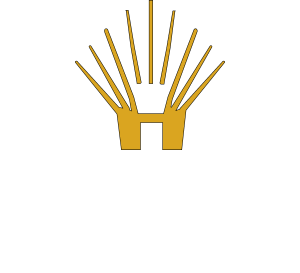  best interior services